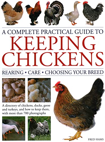 Colourful book cover with poultry images and possibly a farm or backyard scene.