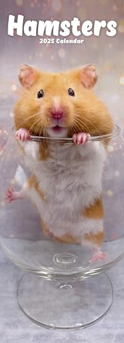 2025 calendar featuring a golden hamster in a glass bowl.
