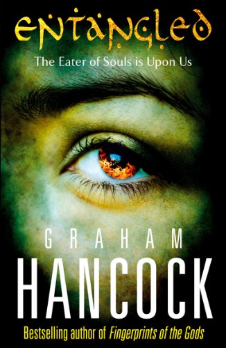 Book cover: close-up of an eye with orange flames reflected in the pupil.