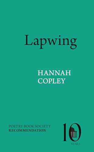 Book cover: "Lapwing" by Hannah Copley, teal background, black text.