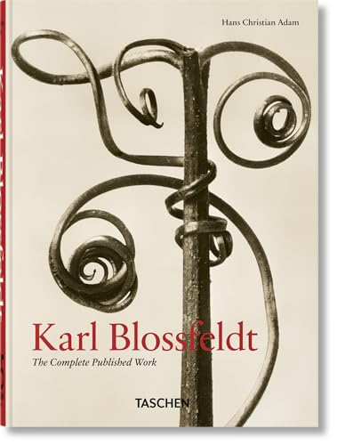 Book cover featuring a close-up, monochrome photograph of wrought iron plant form.