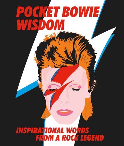 Book cover featuring an illustration of David Bowie with a lightning bolt on face.