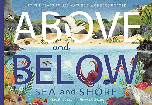 Children's book cover depicting coastal wildlife, with octopus and seagull.
