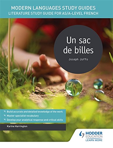 Book cover for “Un sac de billes” French literature study guide.