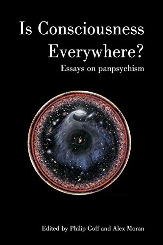 Book cover with title “Is Consciousness Everywhere?” and cosmic imagery.