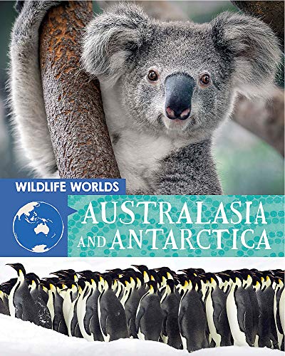 Book cover featuring a koala and a colony of penguins.