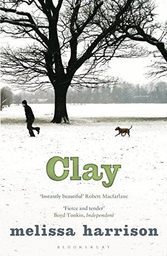 Book cover: a man and dog walk in a snowy, wintry landscape.
