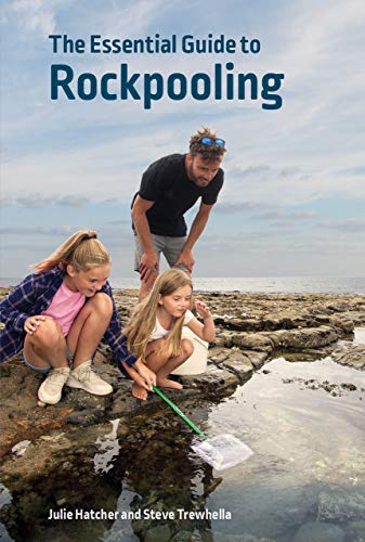 Book cover showing a man and two girls exploring a rocky tide pool.