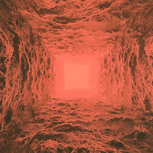 A square tunnel with textured, organic walls glowing in shades of red and orange.