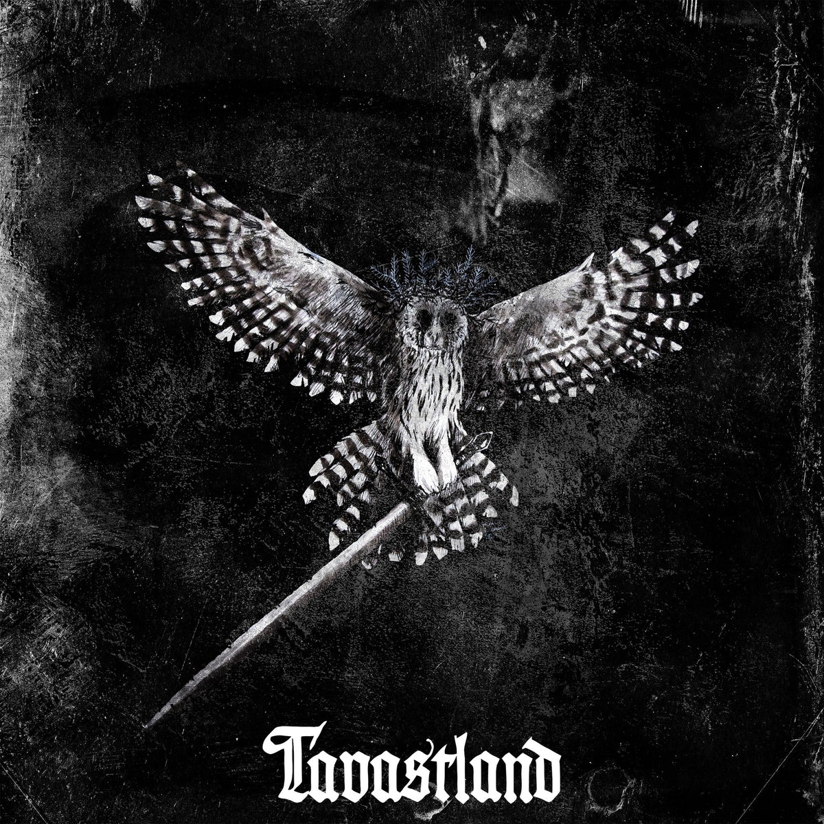 Black and white album cover featuring an owl with spread wings.