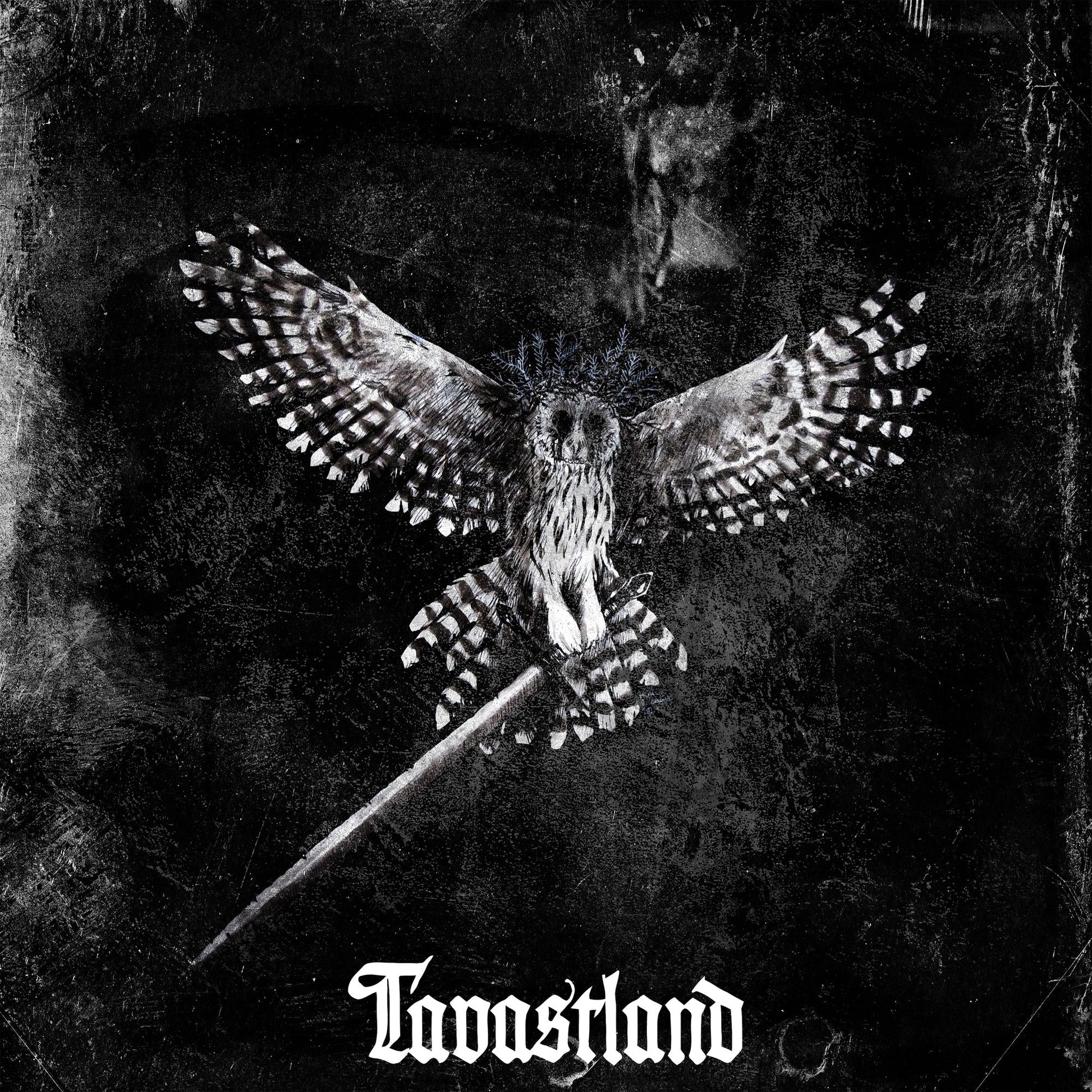 Black and white album cover featuring an owl with spread wings.