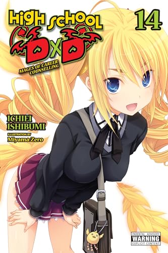Cover of “High School DxD” light novel volume 14, featuring a blonde anime girl.