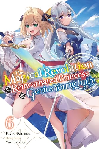 Novel cover featuring two young women with swords, anime style.