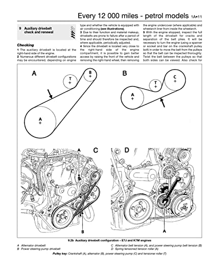 Renault Clio auxiliary drivebelt diagram showing components and routing.