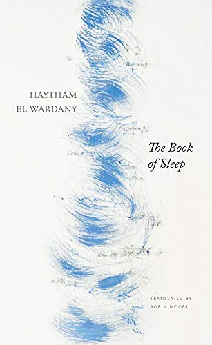 Book cover with abstract blue brushstrokes and title "The Book of Sleep".