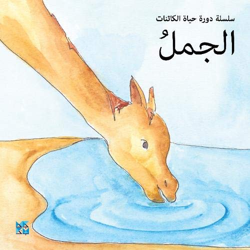 Watercolor illustration of a camel drinking water from a blue pool.