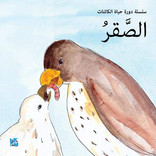 Watercolor illustration of a falcon feeding a smaller bird a worm.