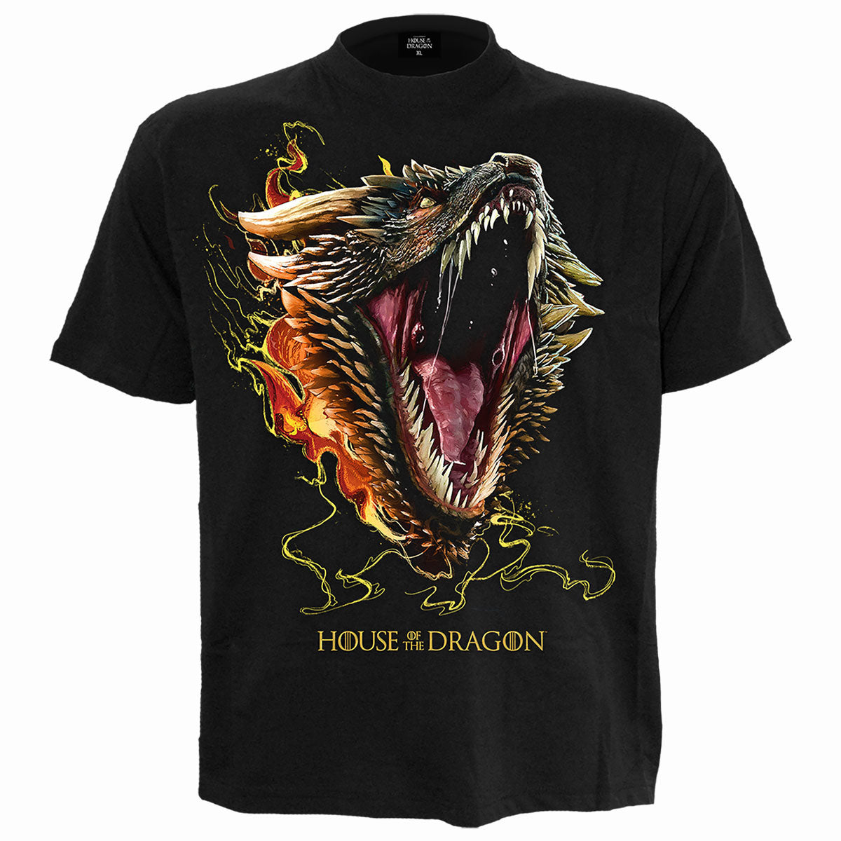 Black t-shirt with a graphic of a roaring dragon breathing fire.