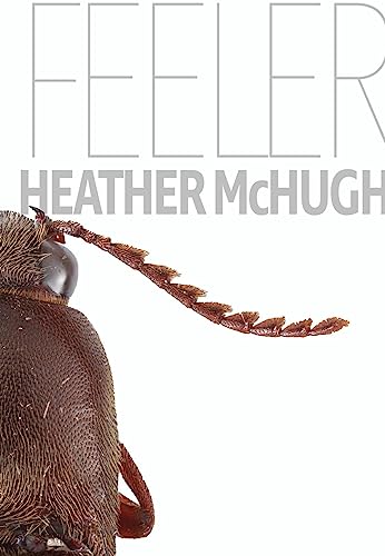 Book cover featuring a close-up of a cockroach’s head and antennae.