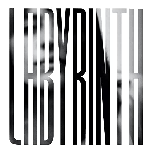 Black and white album cover with the word LABYRINTH in tall, vertical, sans-serif letters.