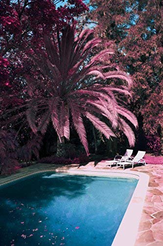 Pink-toned palm tree and pool scene, album cover for Hedley’s “Cageless.”