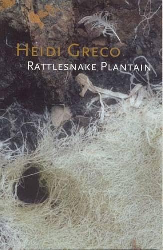 Book cover for "Rattlesnake Plantain" by Heidi Greco, featuring plant imagery.