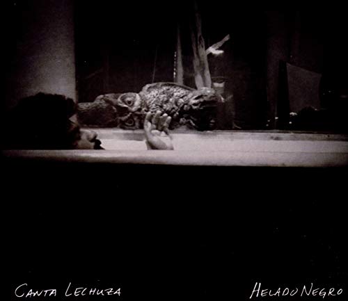 Black and white album cover featuring a lizard and a blurred face.