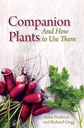 Book cover: “Companion Plants,” featuring radishes and parsley.
