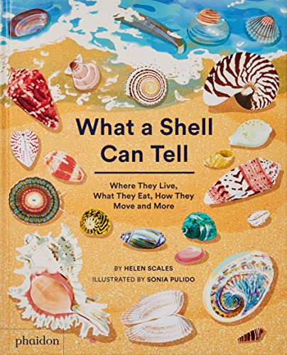 Book cover titled What a Shell Can Tell featuring various seashells on a beach.