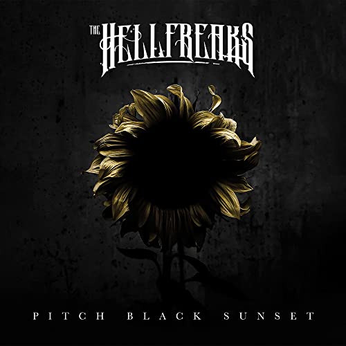 Dark sunflower with gold petals against a textured black background.