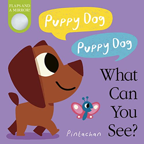 Brown puppy with butterfly, book cover with flaps and a mirror.