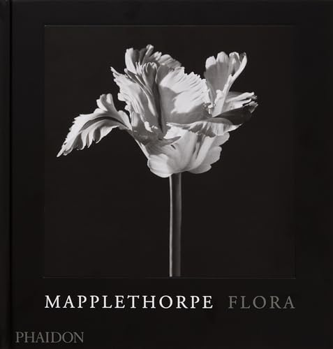 Black and white photograph of a ruffled tulip on a book cover.