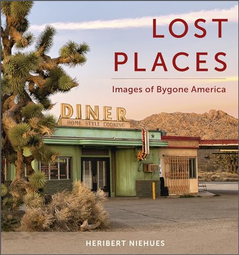 Book cover: faded diner building in a desert landscape.