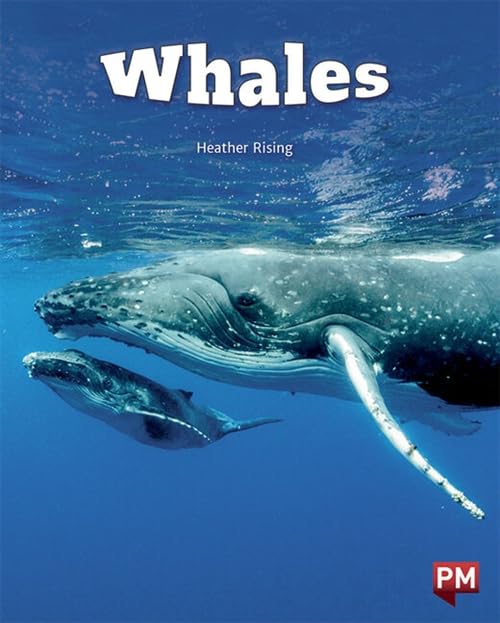 Book cover featuring a humpback whale and calf underwater.