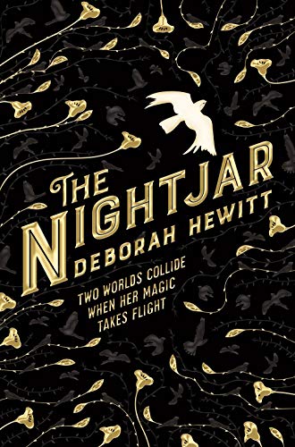 Book cover: black background with gold bird silhouettes and a white nightjar.