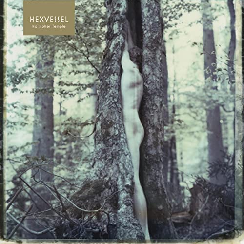 Album cover: person partially obscured within a split tree trunk in a forest.