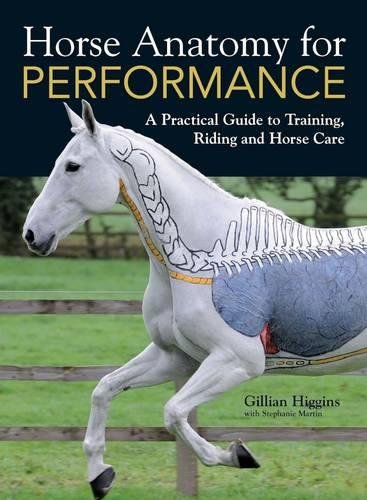 Book cover showing a white horse with painted anatomical skeletal and muscular structures.