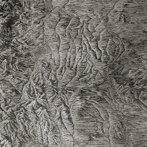 Black and white embossed landscape resembling eroded terrain.