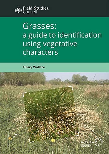Book cover titled Grasses: a guide to identification using vegetative characters with field background.