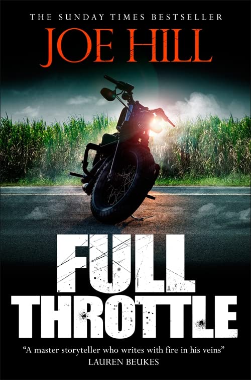 Book cover featuring a motorcycle on a road beside tall grass under dark skies.