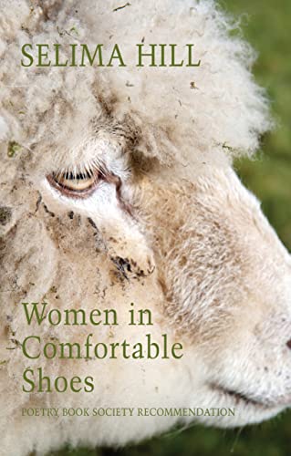 Book cover with sheep’s face and title “Women in Comfortable Shoes.”