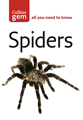 Book cover titled Spiders with a large hairy tarantula against a white background.