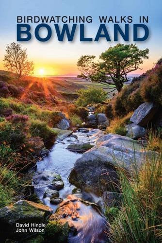 Book cover: landscape with stream, trees, and sunset sky.