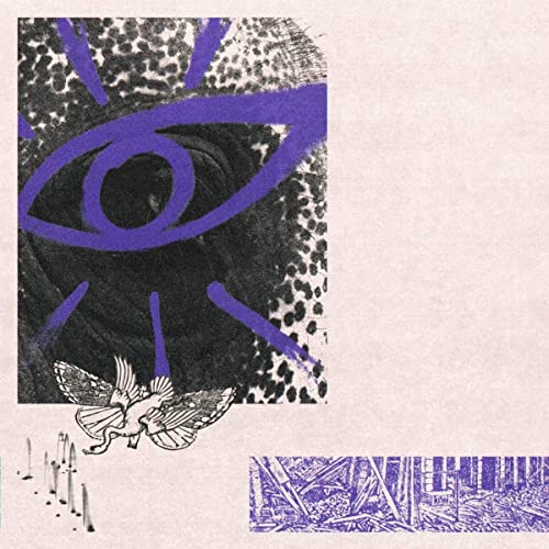 Album cover for Hippo Campus’ LP3 featuring an eye, moth, and city scene.