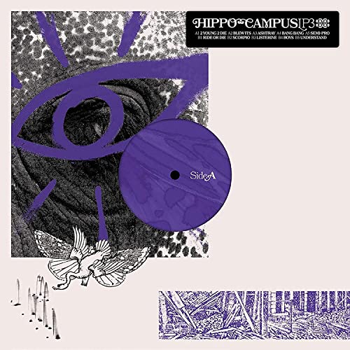 Hippo Campus LP3 vinyl record cover with eye, bird, and purple disc.