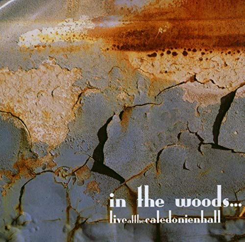 CD cover with textured, rusted metal and text “in the woods…”