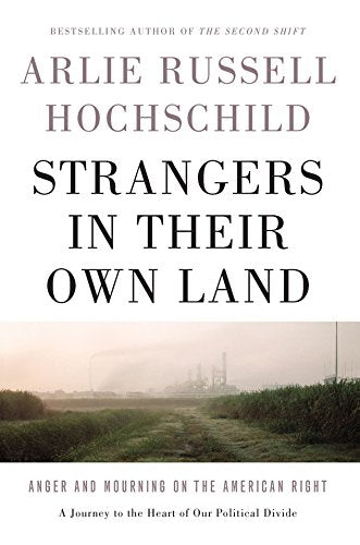 Book cover: "Strangers in Their Own Land" with a foggy industrial landscape.