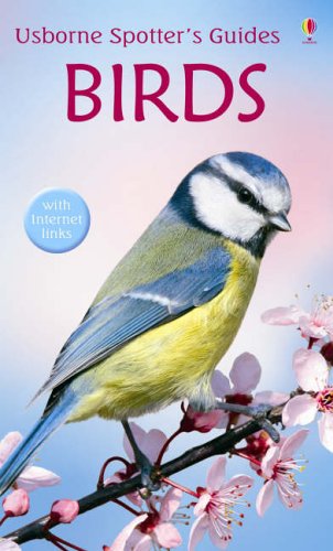Blue tit perched on a flowering branch on the cover of an Usborne guide.