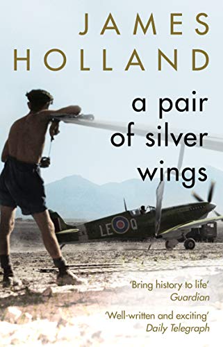 Book cover: man with airplane, titled “A Pair of Silver Wings.”