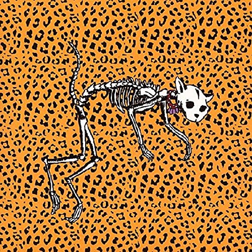 Cat skeleton illustration on orange leopard print background.